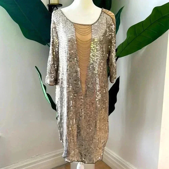 Haute Hippie XS Silver Sequence dress - Picture 2 of 12